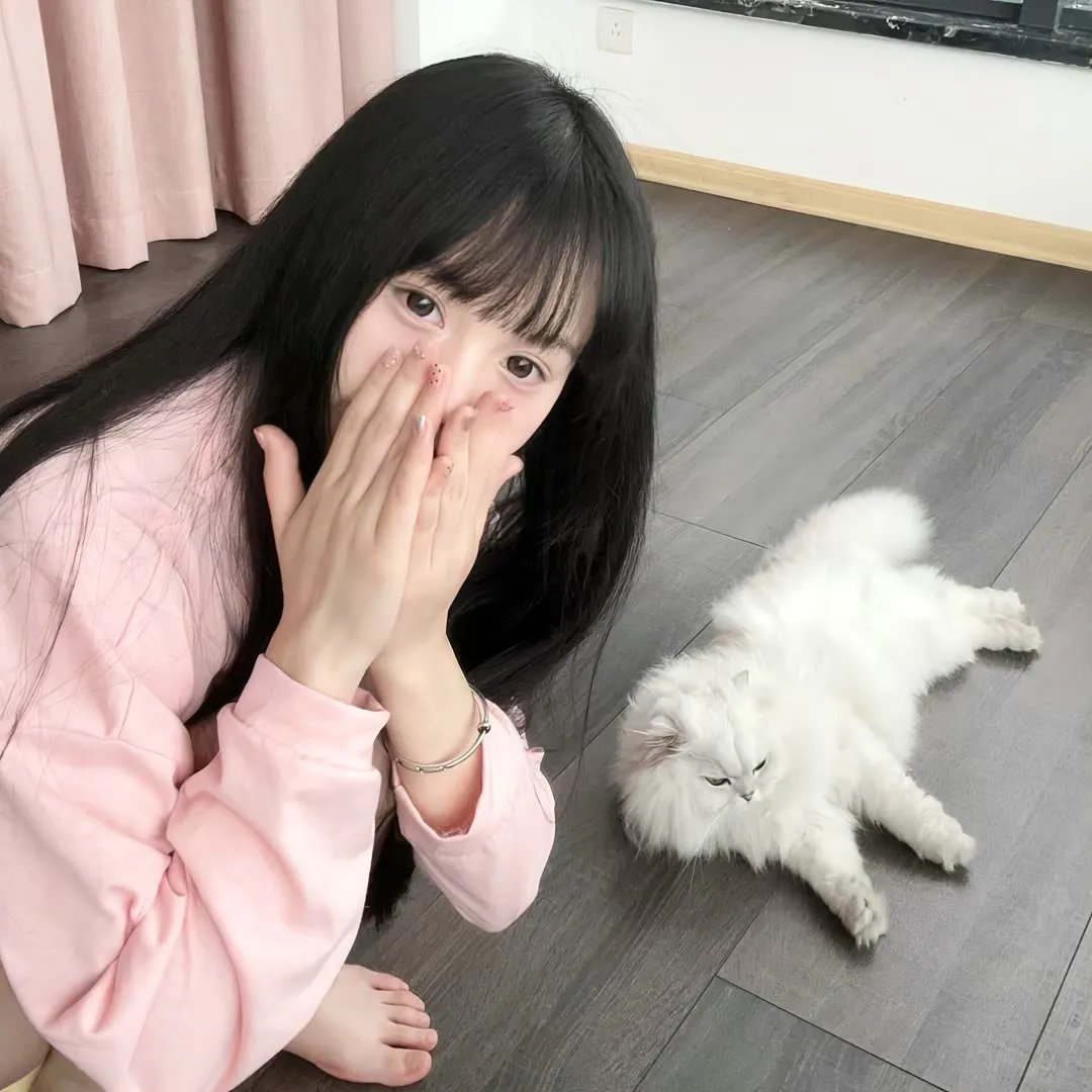 扶桑有狐