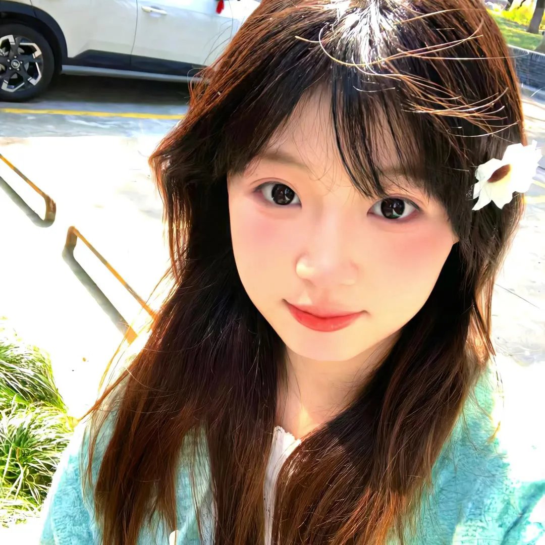 梅子鸡之味